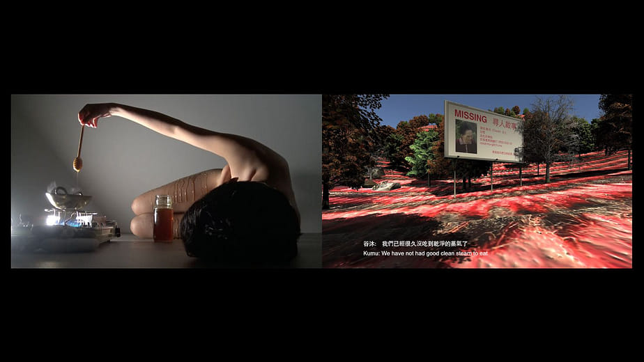 她可能來至_____社