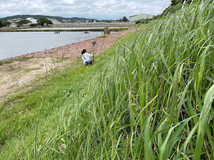 《記憶風之所繫》