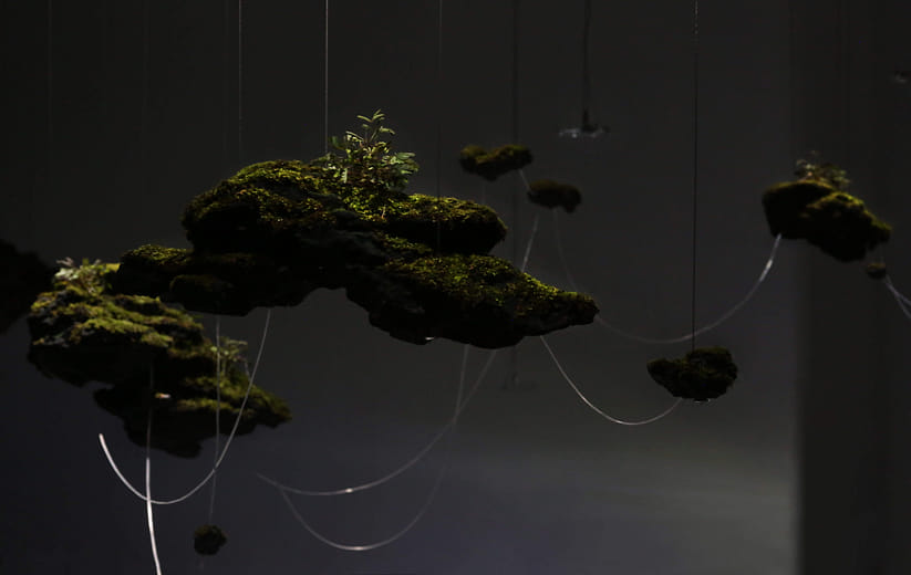 BIOSIGNAL-APERCEVOIR