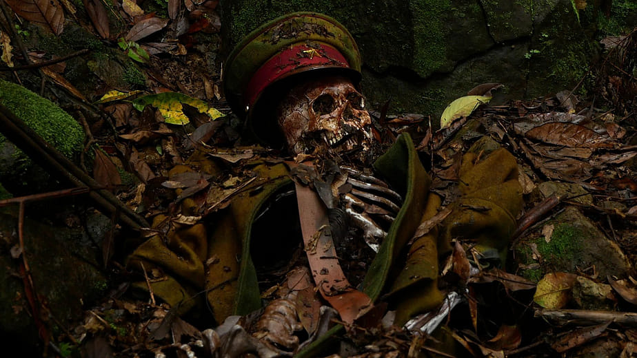 非紀錄片類 銀獎 槍砲、頭顱與骸骨