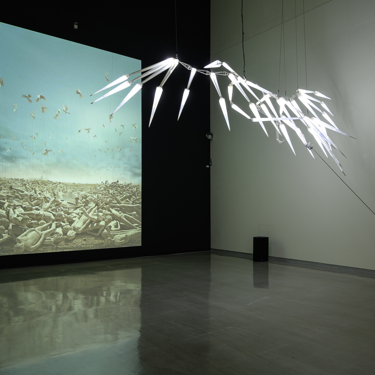 阿德爾．艾比登 Adel ABIDIN