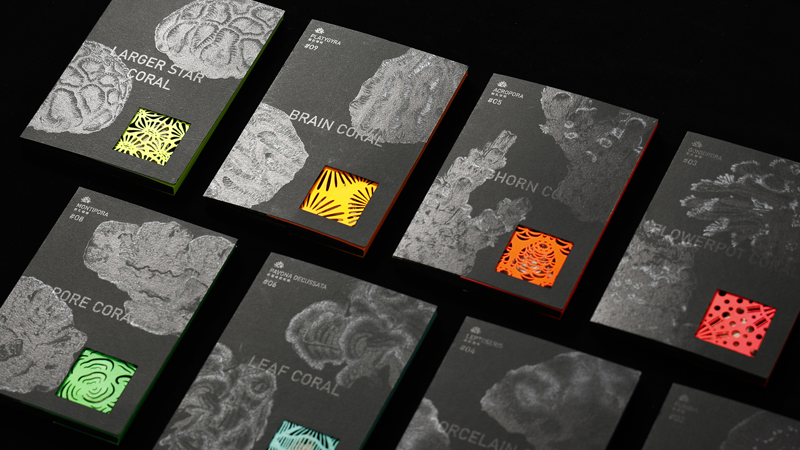 嶼珊共造 - REEFS STACKS