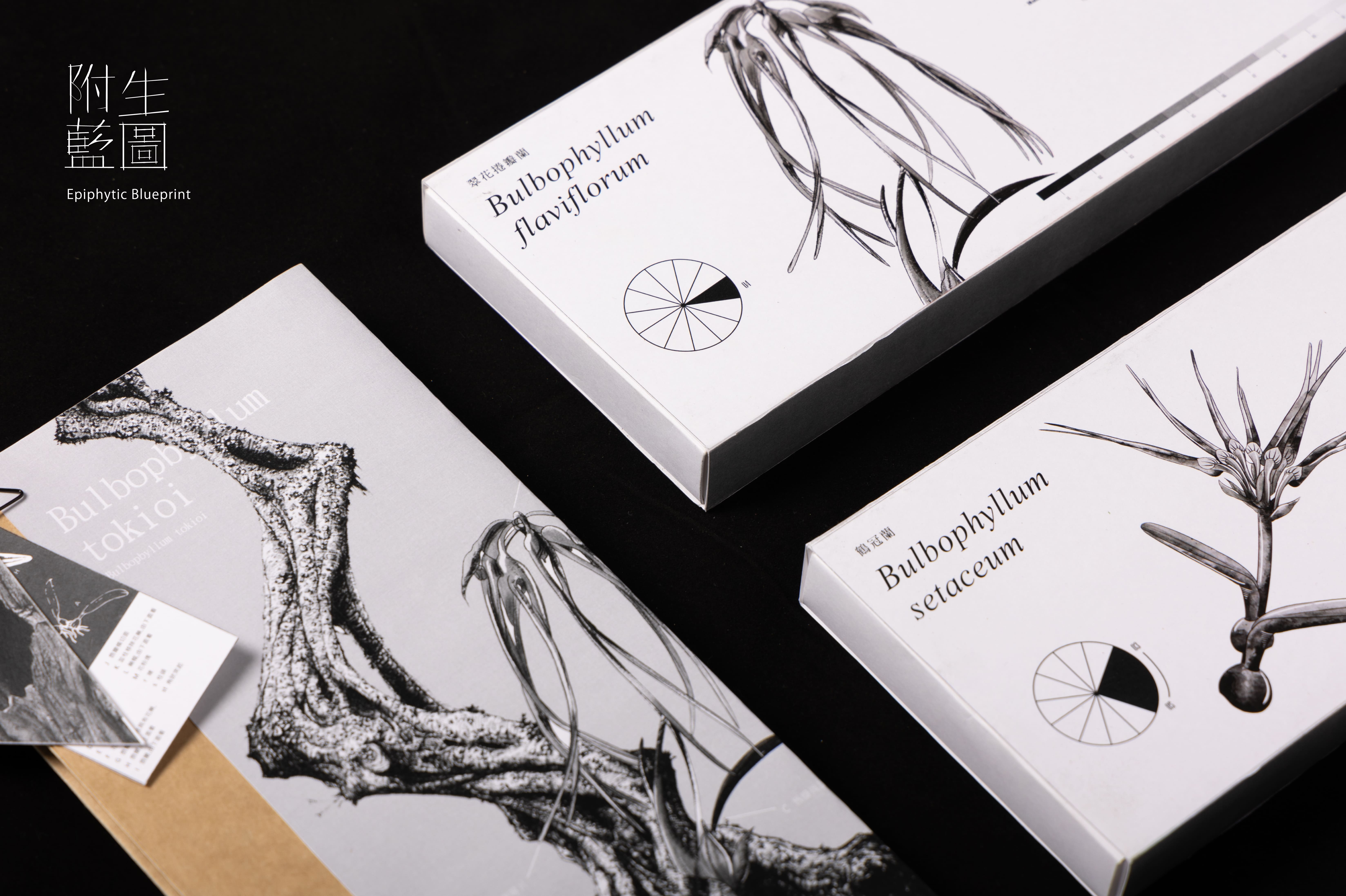 附生藍圖 - EPIPHYTIC BLUEPRINT