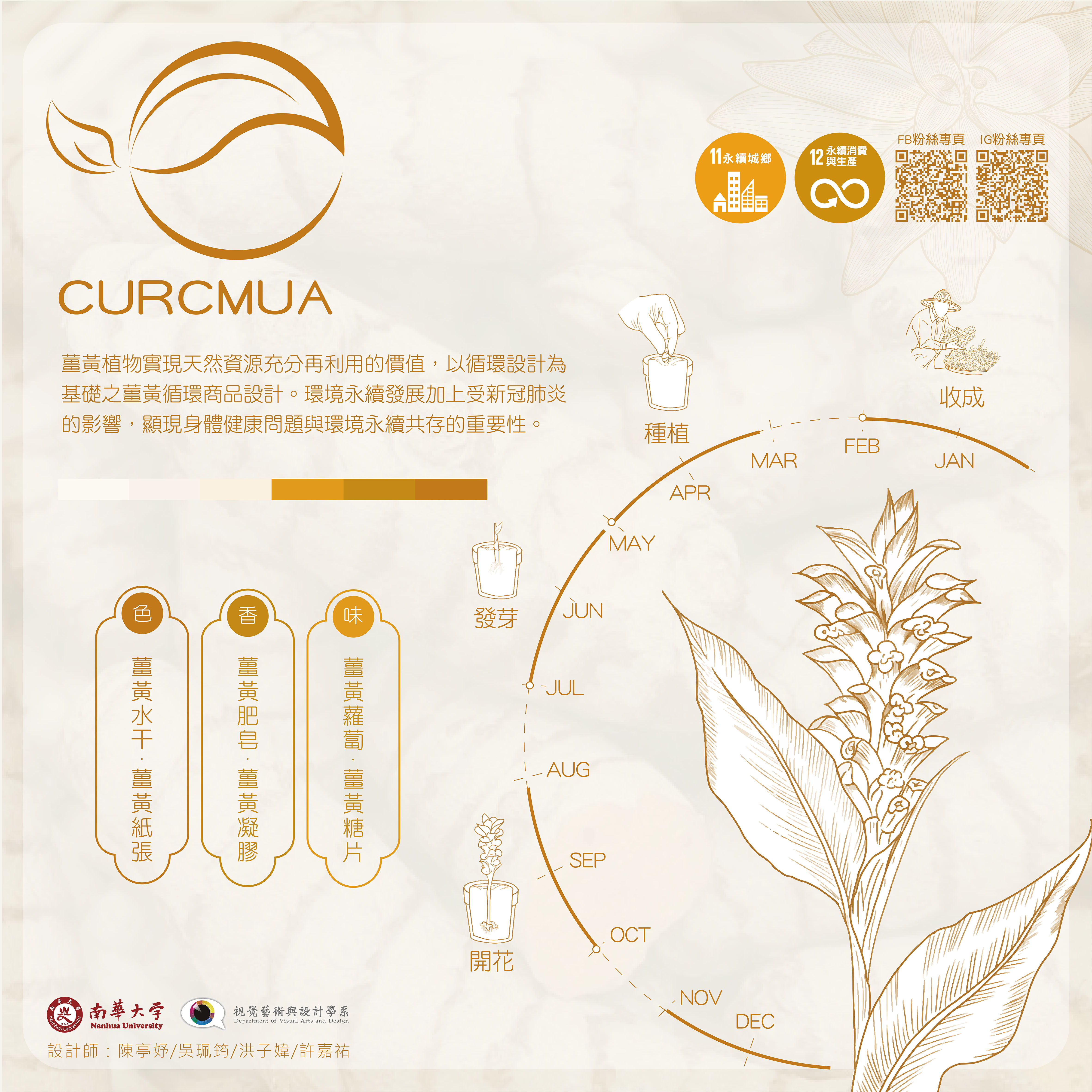 CURCUMA天然素材之循環設計 - CURCUMA natural material recycling design