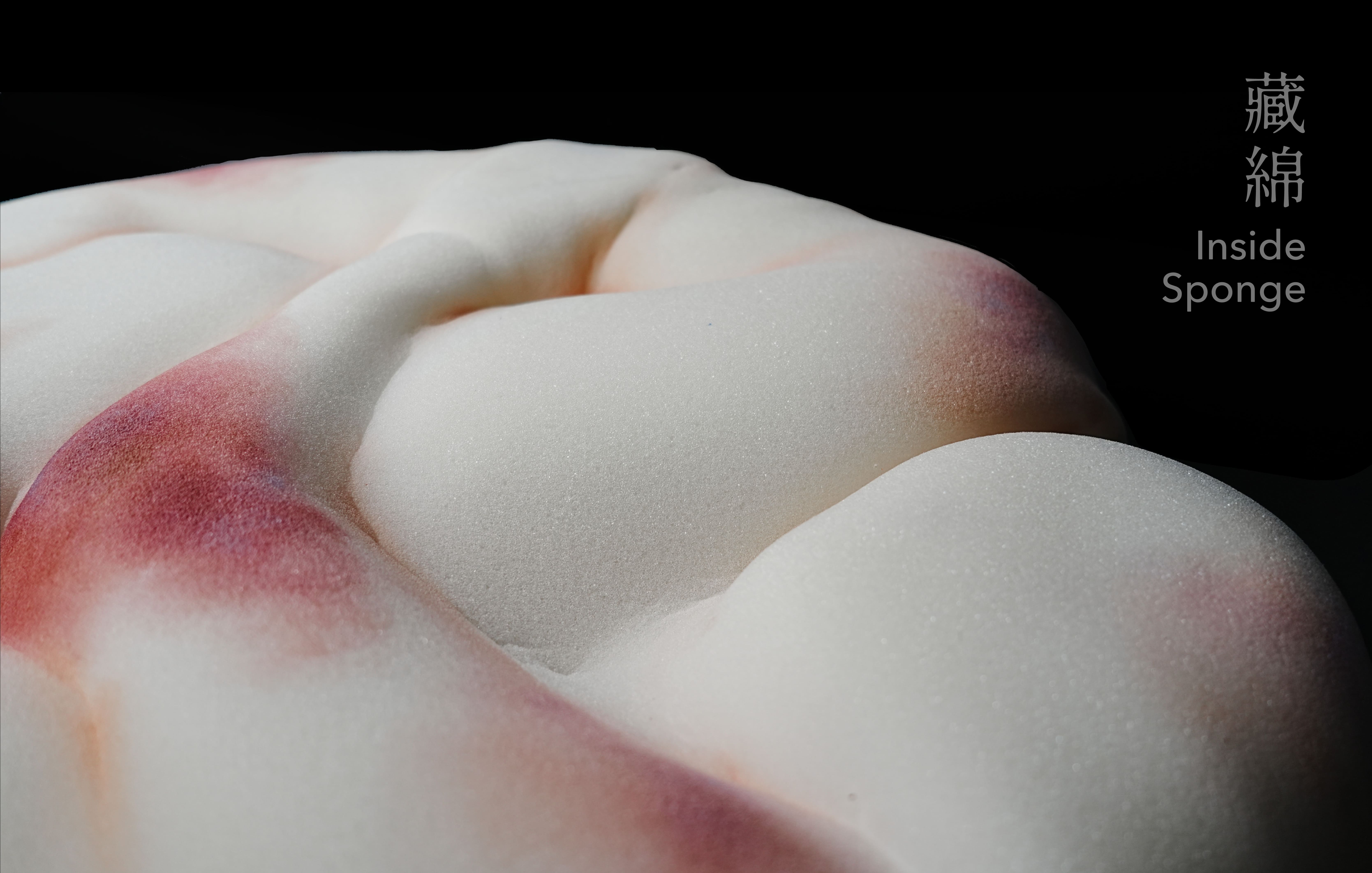 藏綿 - Inside Sponge