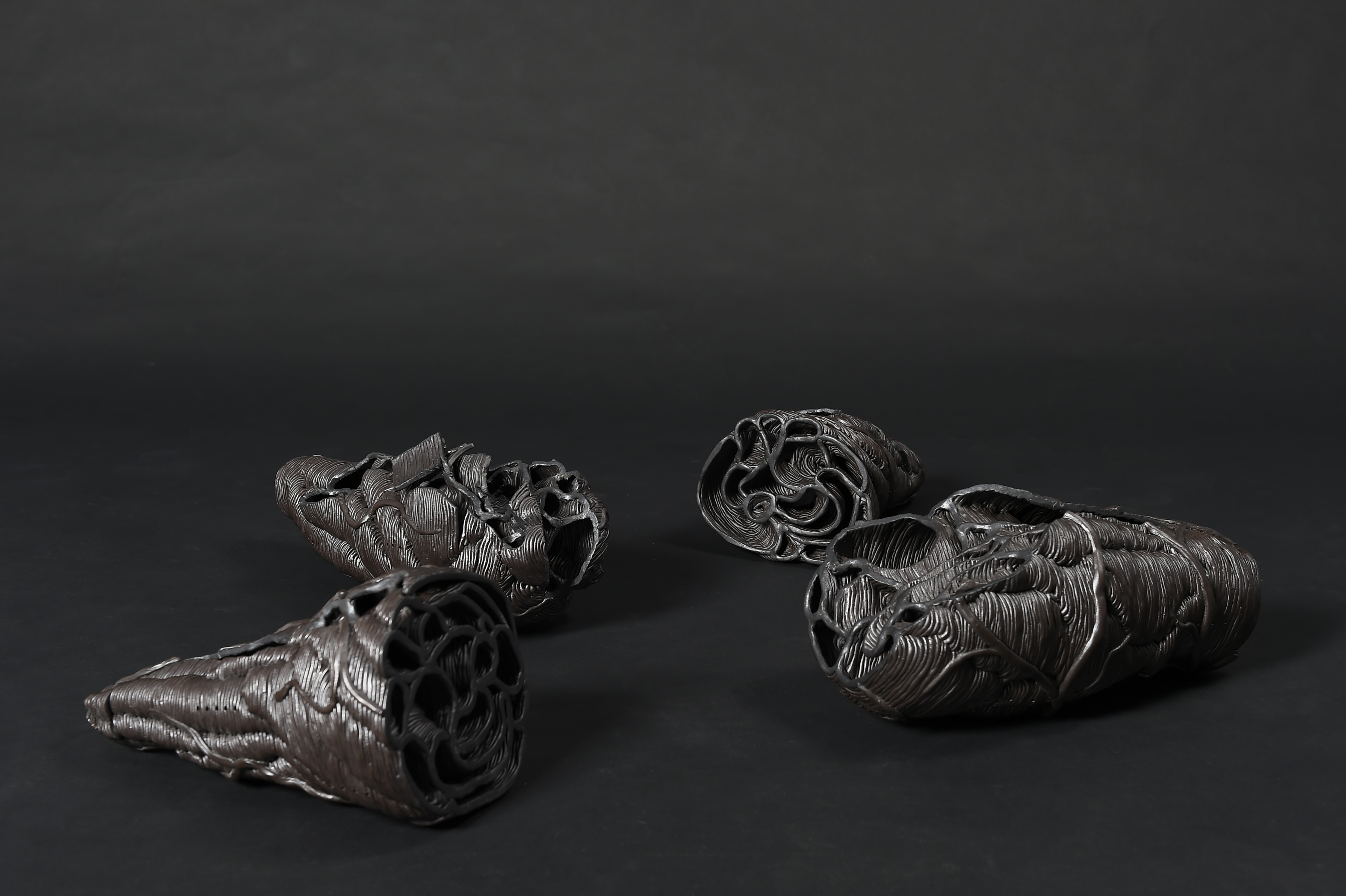 塊狀組織_繭 - Mass Tissue_Cocoon