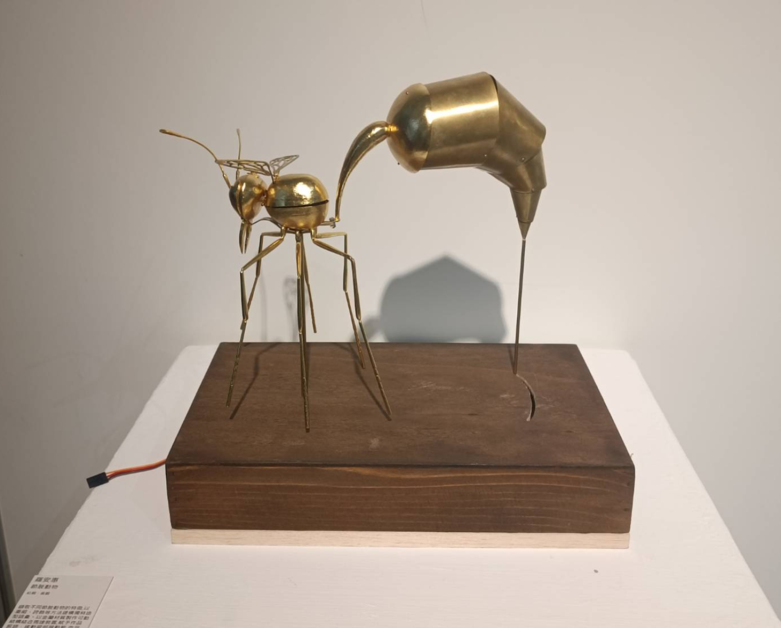 節肢動物 - arthropod