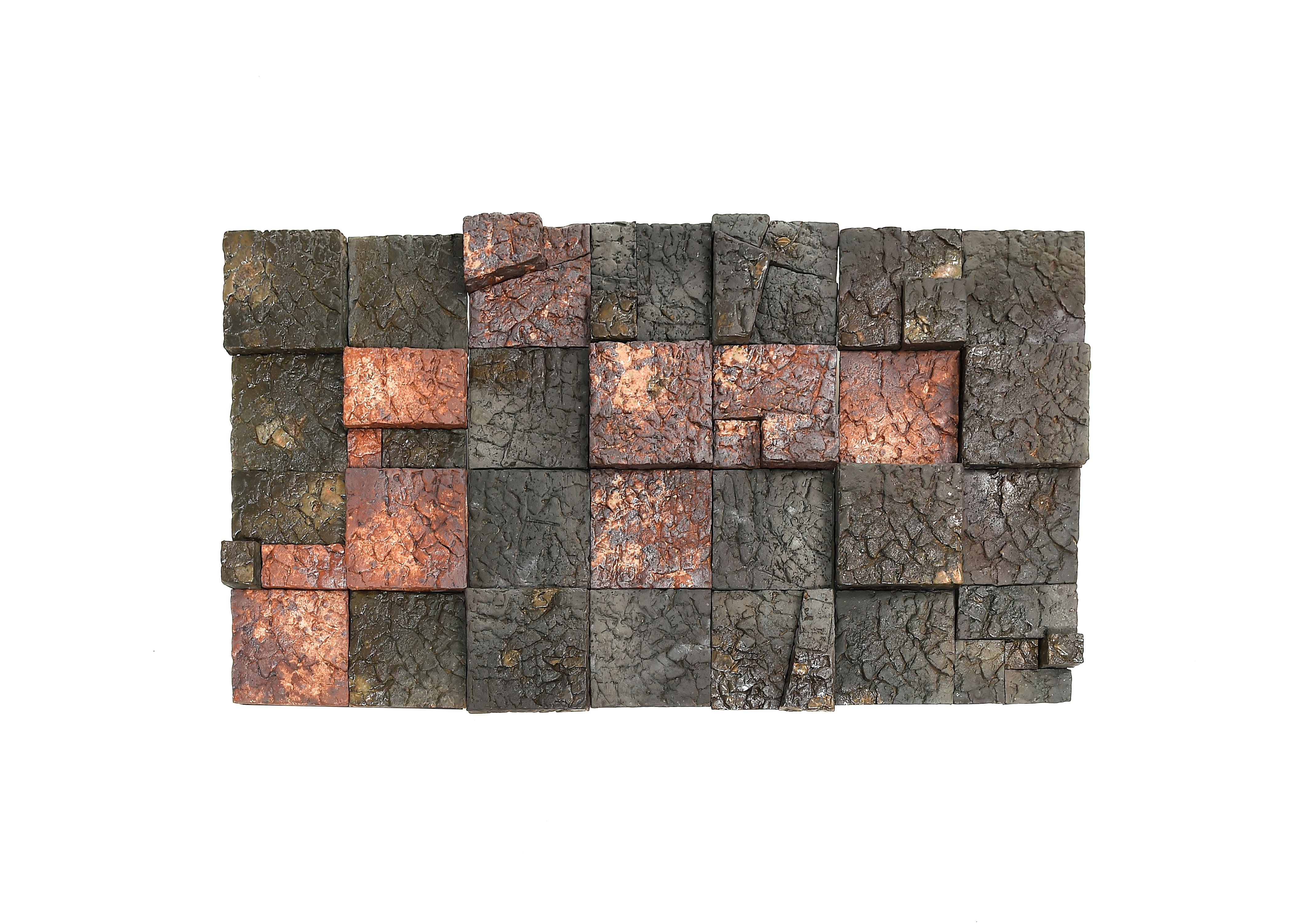 自然之膚標本（系列） - Specimens of Nature's Skin" (Series)