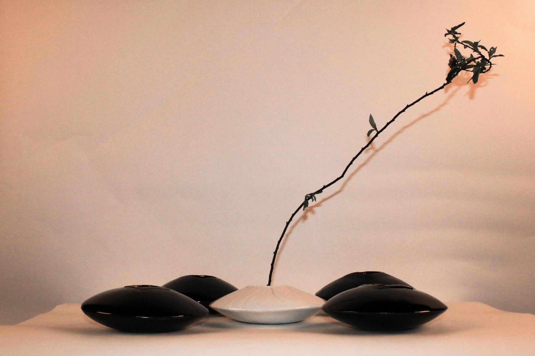 開局之花 - Opening Blossom