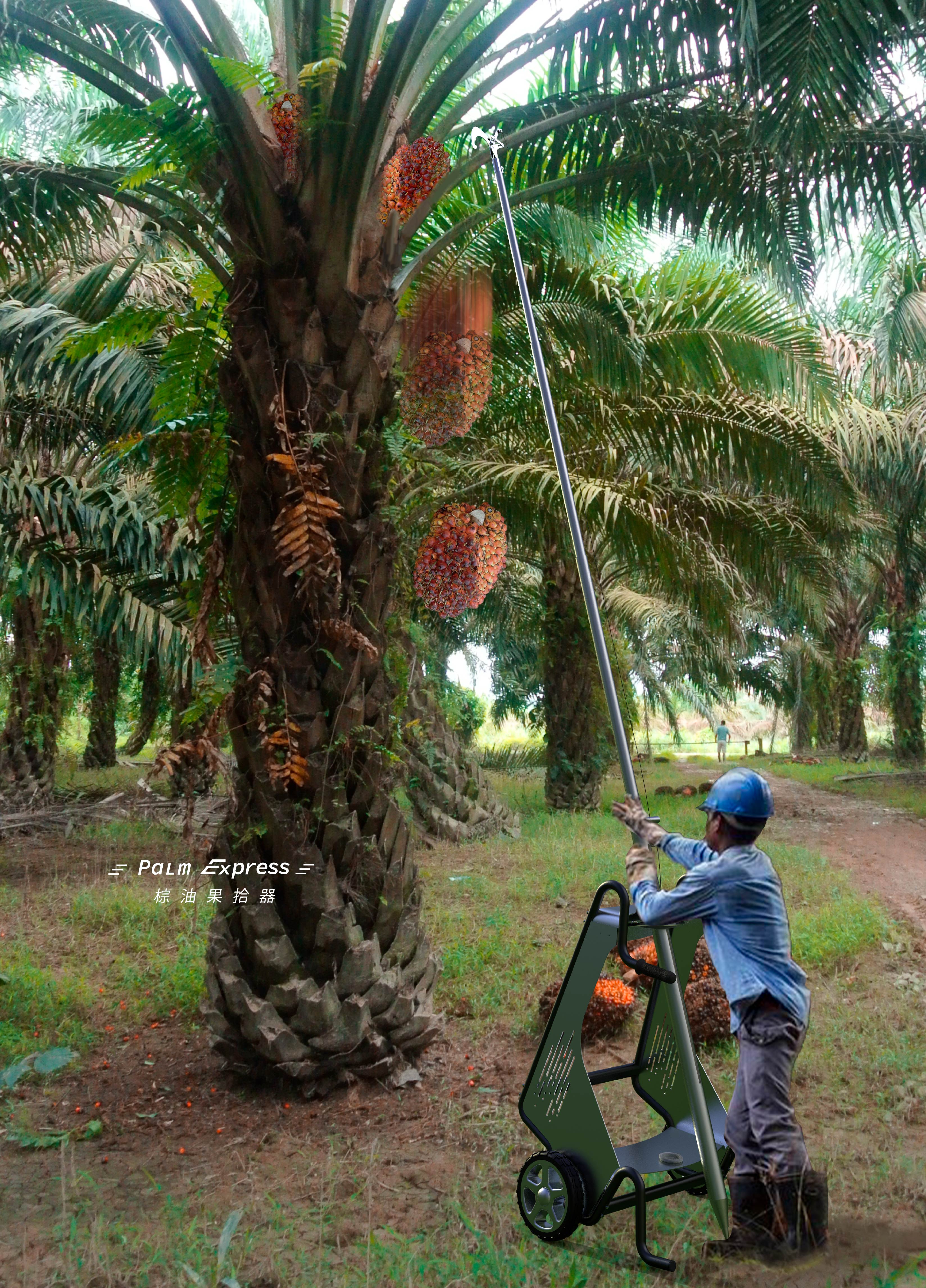 棕油果拾器 - Palm Express