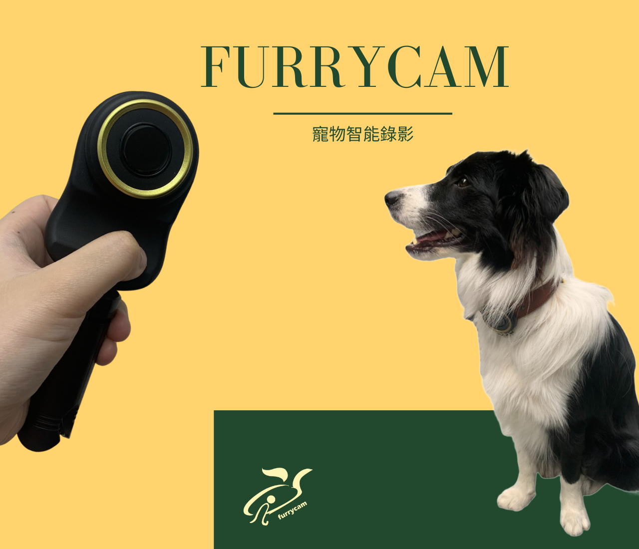 寵物智能錄影 - FURRYCAM