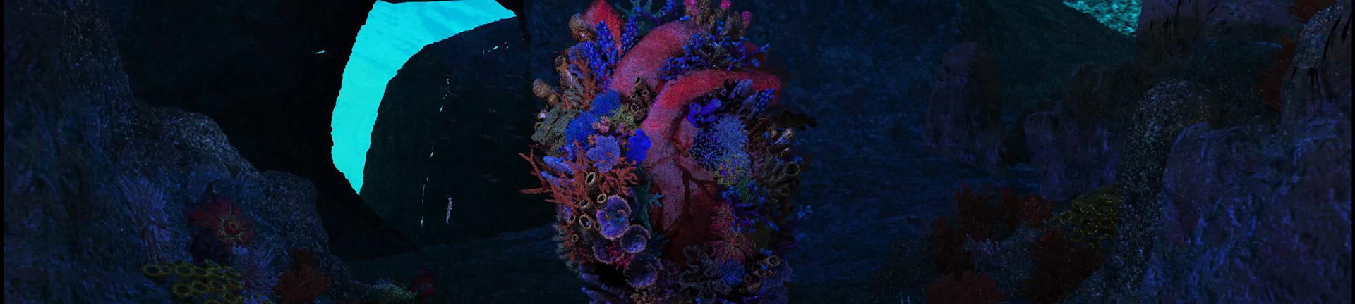 白感礁急 - Coral BINO