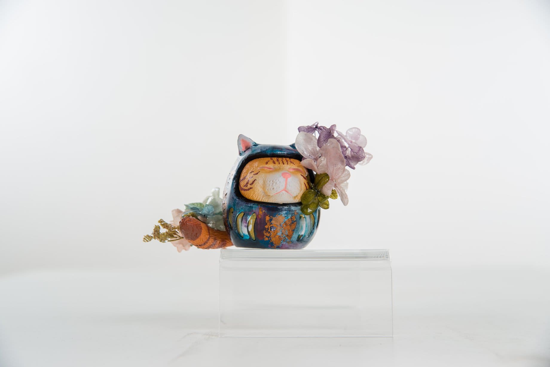 岩石上的花貓
