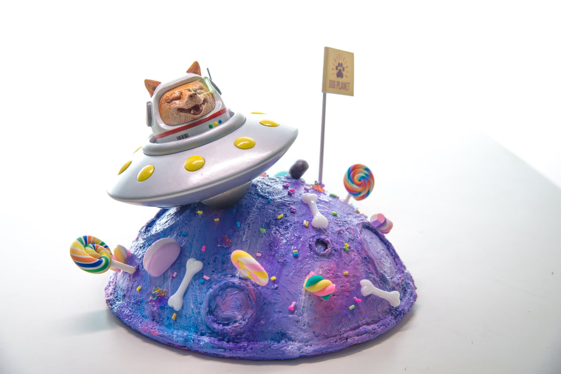 甜甜汪星球