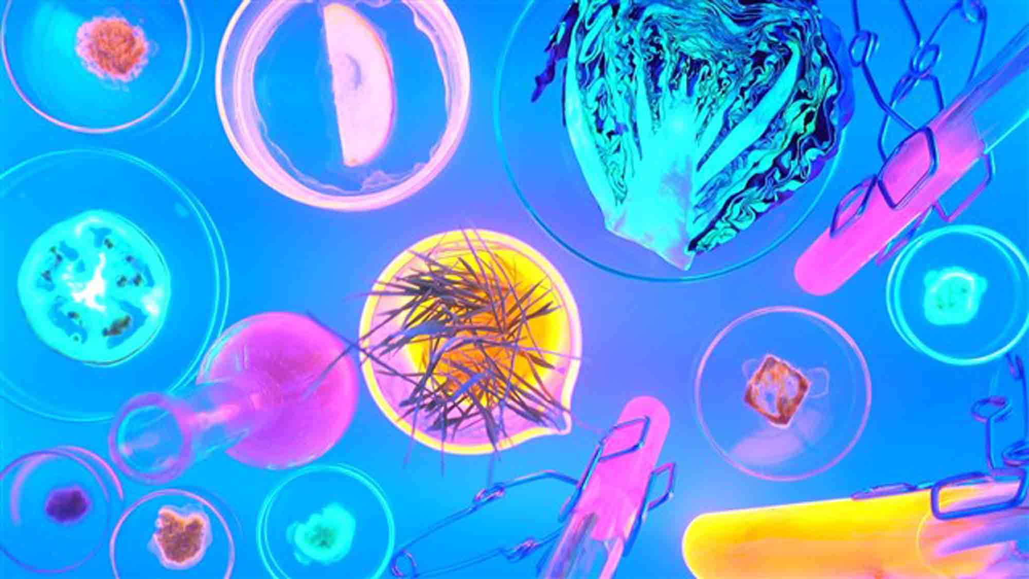 GFP自耕農實驗室 GFP Lab