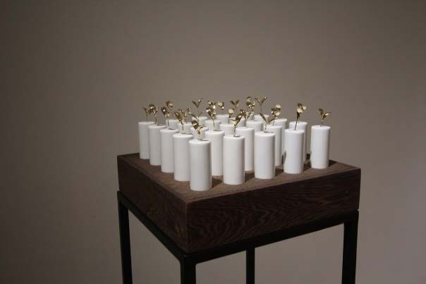 共生苗(金) Symbiotic Seedlings (Gold)