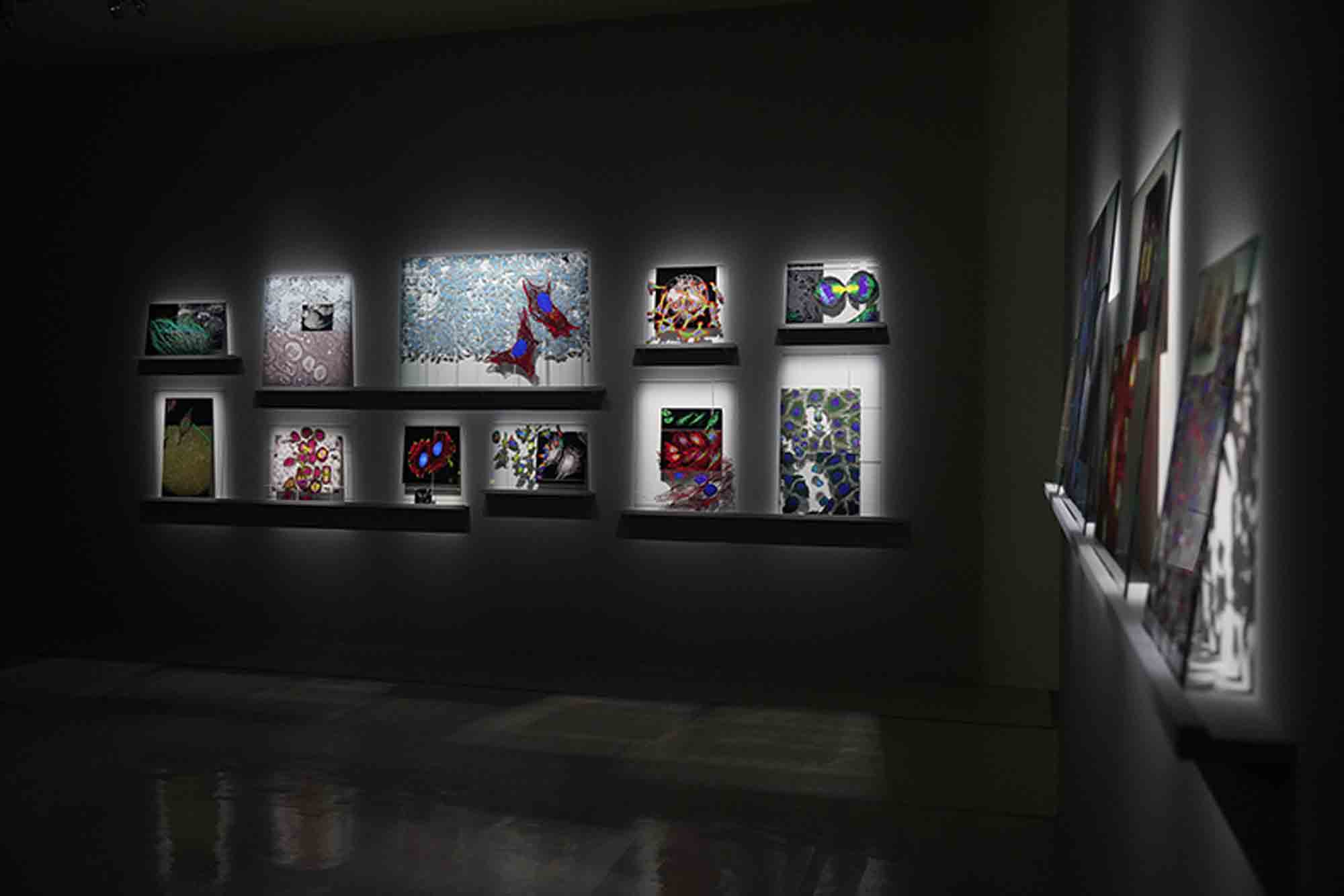 《不死怪物》展場攝影，擷取自台灣美術雙年展網站