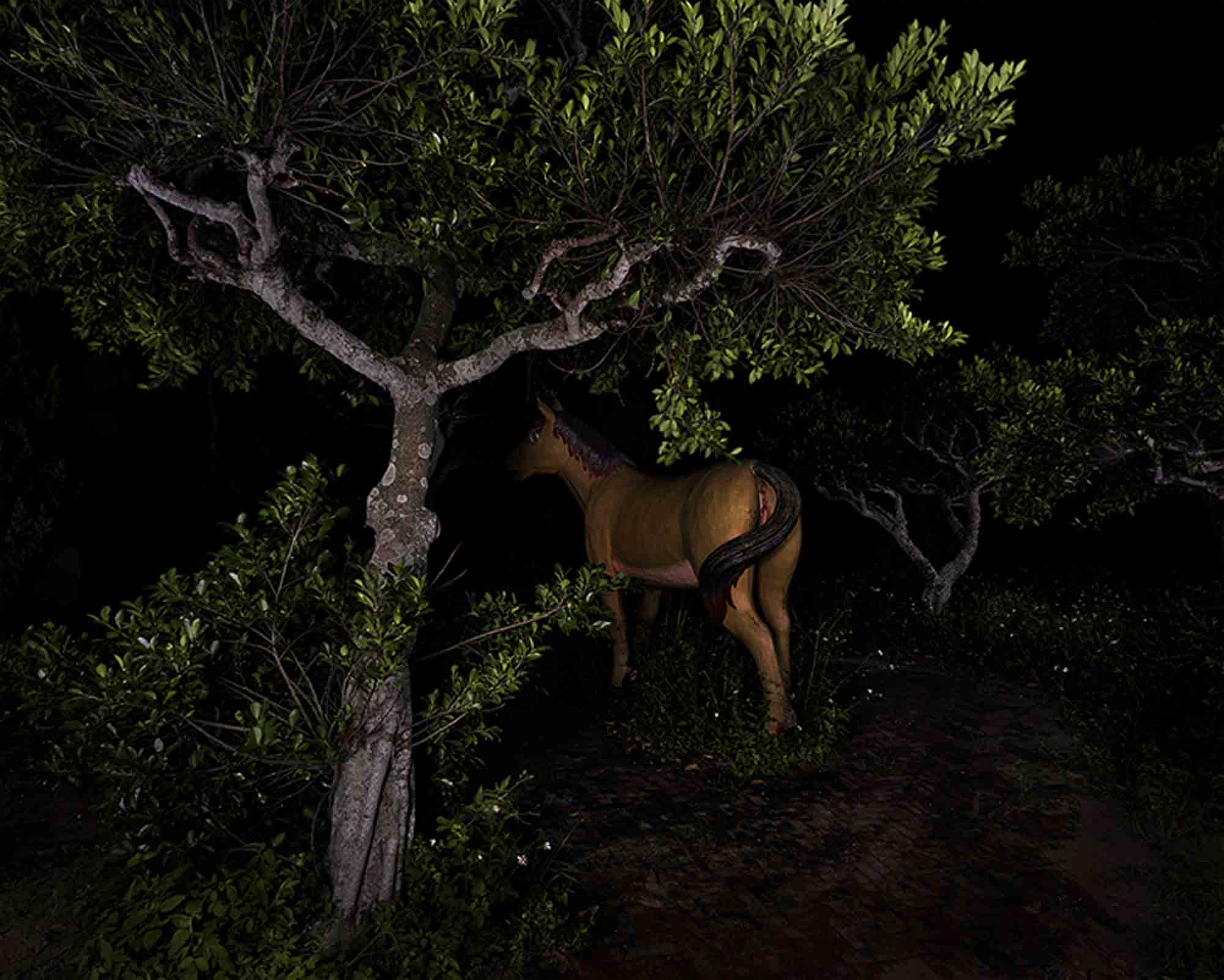 幽靈公園-馬 The Ghost Park–Horse