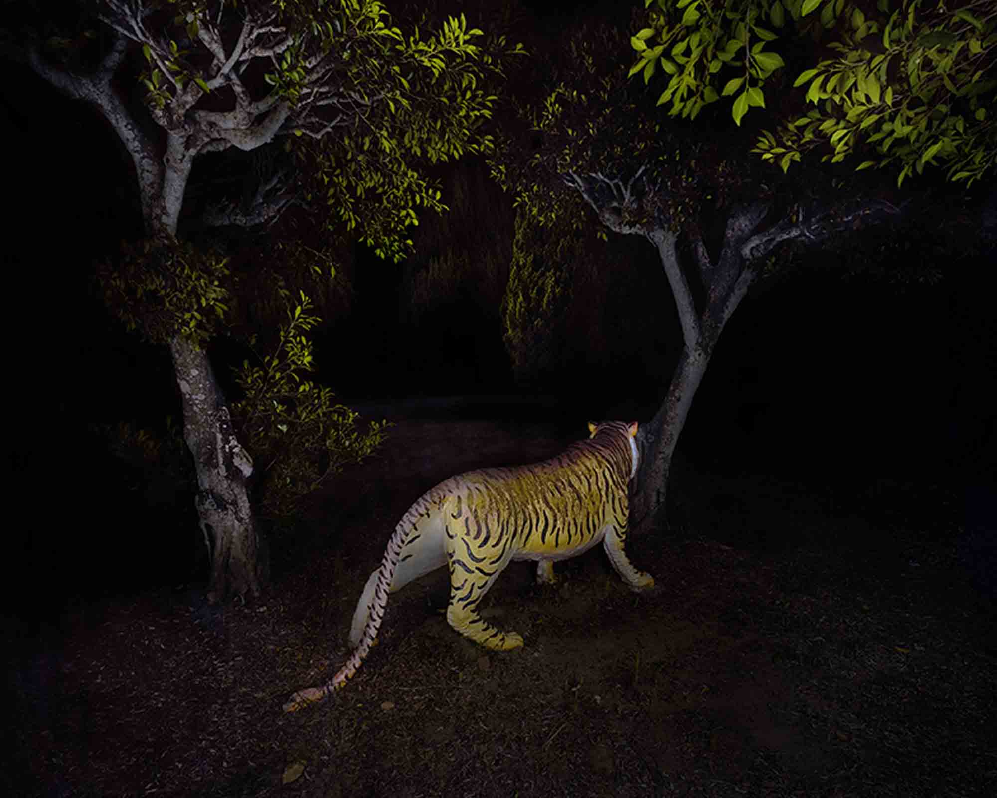 幽靈公園-老虎 The Ghost Park–Tiger