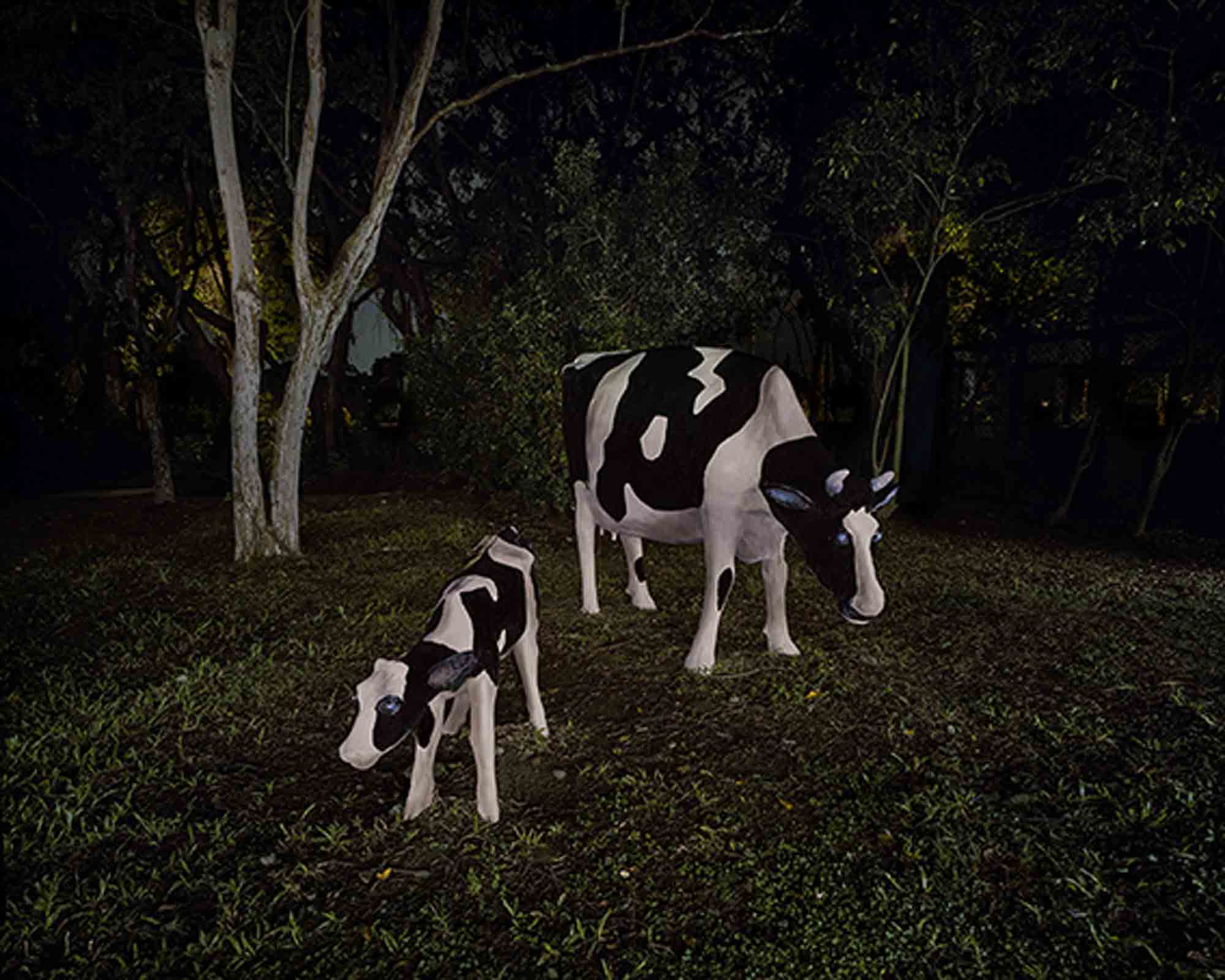 幽靈公園-母牛 The Ghost Park–Cow