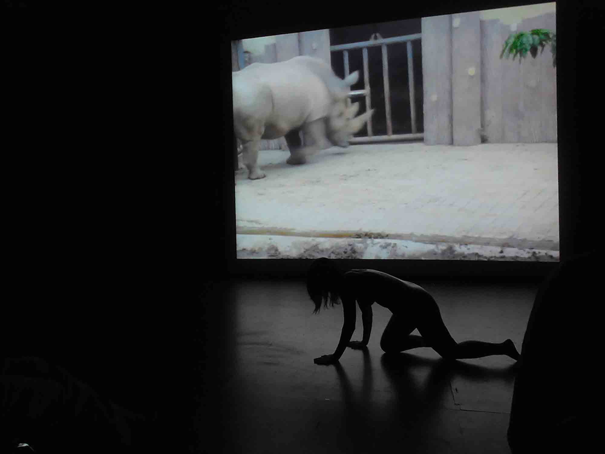 犀牛 Rhino